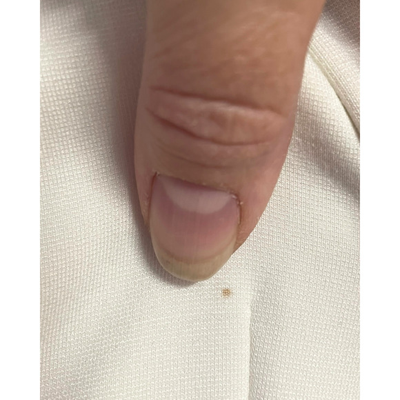 Belle Badgley Mischka Sz 12 Sleeveless Sheath Dress Cream w/Black Lace Bands - Picture 11 of 11